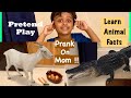 Arko And Mom Fun Educational Pretend Play Learn Animal Facts For Kids Google 3D Animals Part2