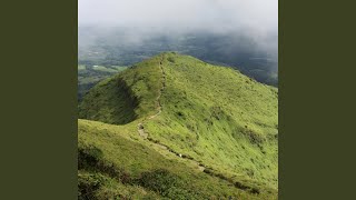 Beacon of Love