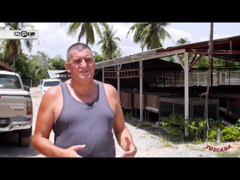 Trattoria Pizzeria Toscana - Pattaya City