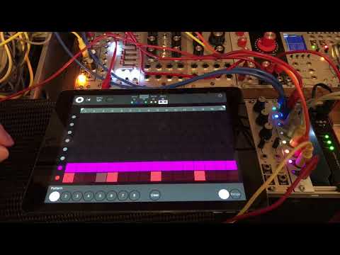 mi.1e 0|8 : Flexible loop length