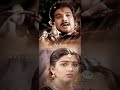 Paadi Parantha Kili Song Ilayaraja Nightvibes Lovefailure Spb