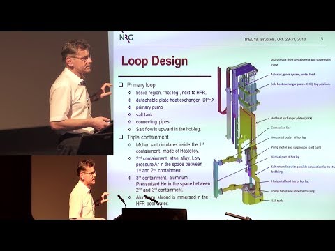 In-Pile Molten Salt Loop in HFR: Design and Safety Support - M.M. Stempniewicz @ ThEC2018