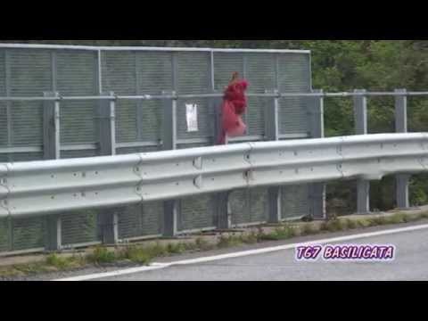TG7 Basilicata 6 Aprile 2014