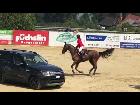 PSG Sir Swiss Championships Final 145 clear 6th Wädenswil