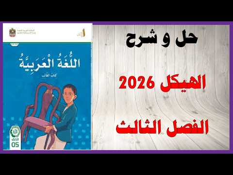 حل أسئلة وشرح هيكل 2026