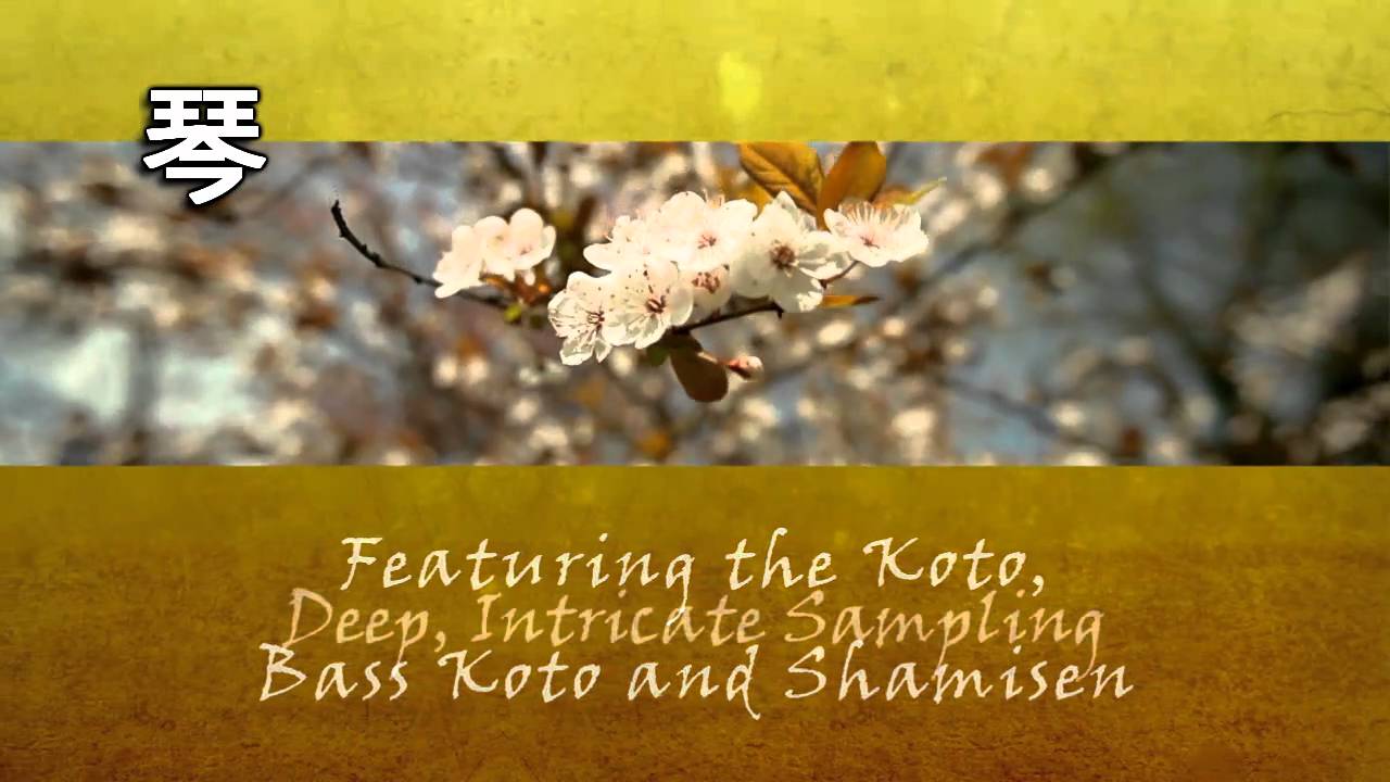 Ethnic Instruments Bundle thumbnail 2