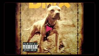 DMX - Dog Intro (Instrumental)