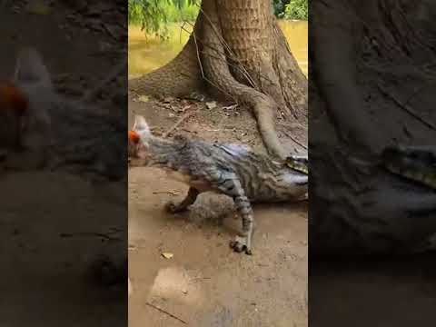 Mother is love that protects