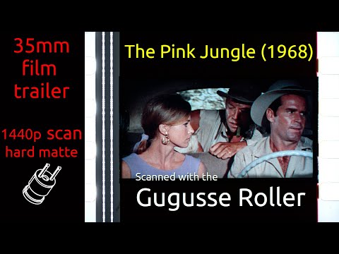 afbeelding The Pink Jungle