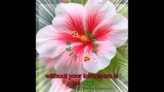 💖💚THIS IS MY SONG💙💖 ✨✨with lyrics✨✨ 💜❤ANDY WILLIAMS💓💛