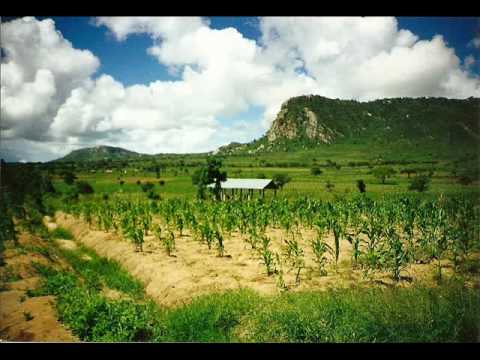 Eskimo Fox--"Digital"