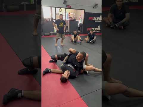 Tiger style MMA #good #mma #wrestling