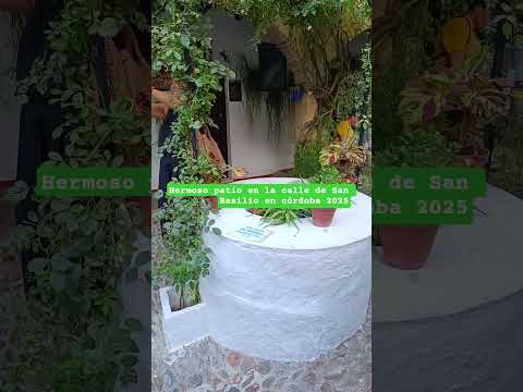 Hermoso patio en la calle de San Basilio  en córdoba 2025