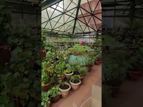 Part-1, pls visit Bryant park in Kodaikanal