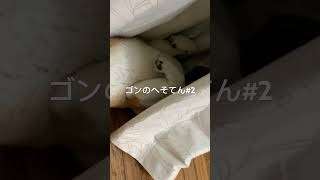 ゴンのへそてん#2