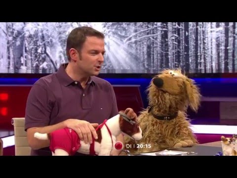 Martin Rütters tierischer Jahresrückblick am 29.12.2015 bei VOX und online bei VOXNOW