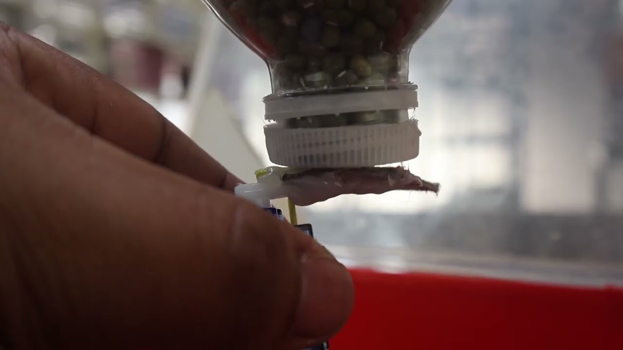 USA - Iloilo - AGRITECHTIVES/ IOC Senior Category/ Project Title: Sakamatic