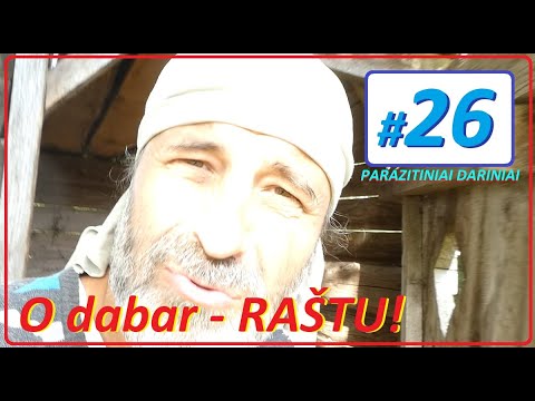 Kreipimasis raštu į viršininkę