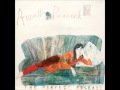 Annette Peacock - American Sport (The Perfect Release 1979)