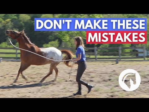 HORSE LUNGING MISTAKES - 5 WORST MISTAKES