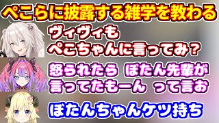 ぼたん先輩から雑学を伝授されるヴィヴィ。ぺこらに披露する際にケツ持ちを頼む【ホロライブ切り抜き/獅白ぼたん/角巻わため/綺々羅々ヴィヴィ/兎田ぺこら】