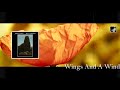 Wings And A Wind