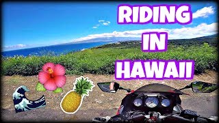 MAUI + NINJA 250R + BIRTHDAY HYPE