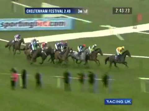 2011 Cheltenham - RSA Chase