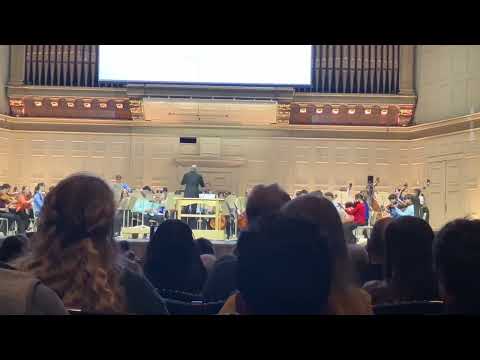 Boston Youth Symphony Orchestra: Peter and the Wolf Family Concert