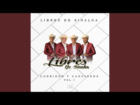 Demetrio el Asaltante