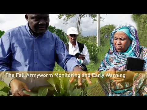Fall Armyworm Monitoring and Early Warning System (FAMEWS)