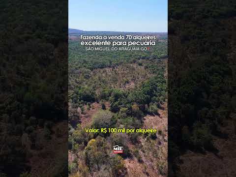 Fazenda com 70 alqueires (aprox. 339 ha) município de São Miguel do Araguaia – GO  #fazendaavenda