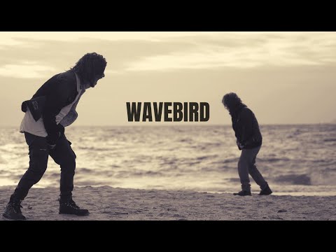 Nick Eyra - Wavebird (Official Music Video) [Copyright Free]