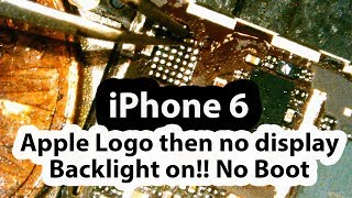 iPhone 6 apple logo then no display no boot and backlight is on