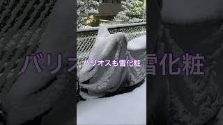 【#shorts】バッテリーそのままのキャブ車が雪まみれだったので