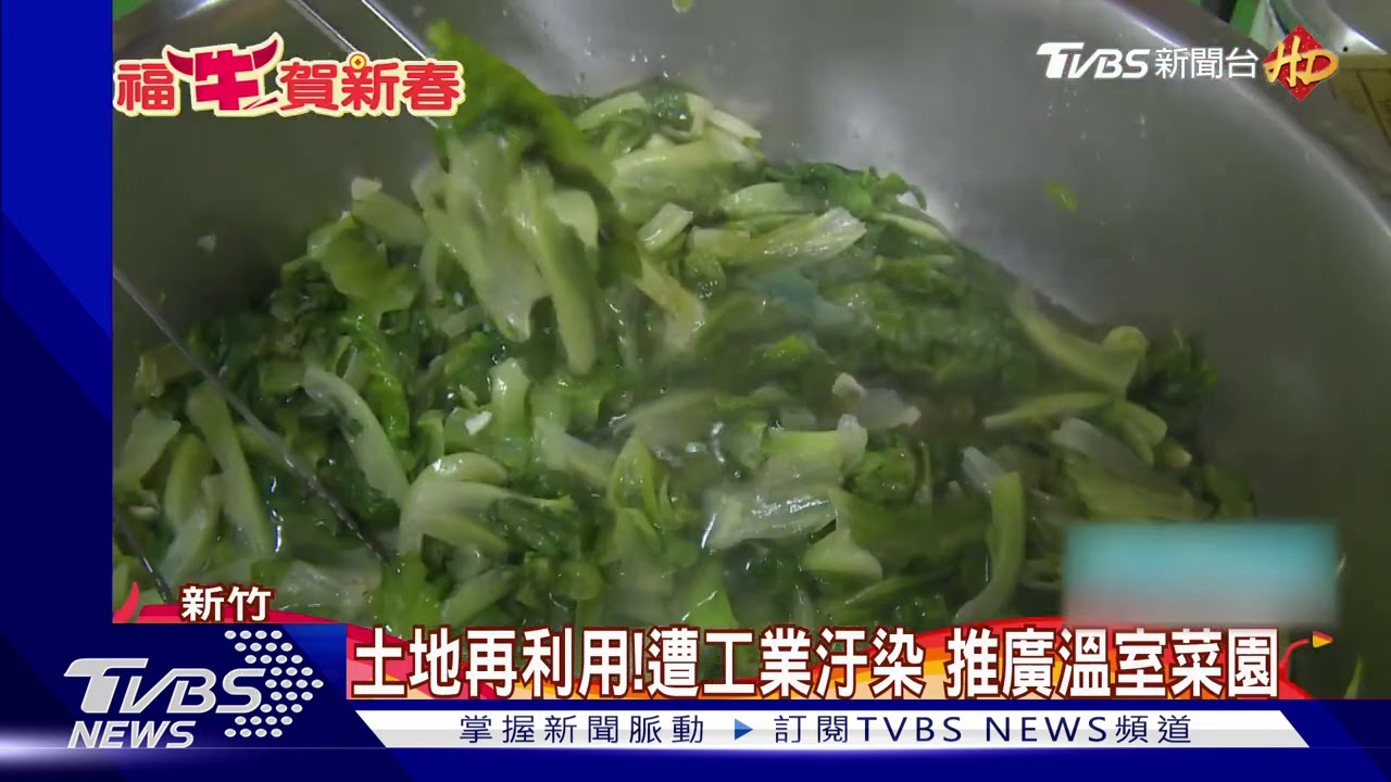 堅持不用藥!為吃的健康 研究魚菜共生