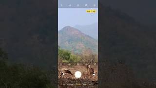 Download lagu Vivo Z1 Proπ± 10x Zoom Camera π· #viral #shorts #short #shortsfeed #vivoz1pro #camera #zoom #vlog mp3 Download lagu Vivo Z1 Proπ± 10x Zoom Camera π· #viral #shorts #short #shortsfeed #vivoz1pro #camera #zoom #vlog mp3