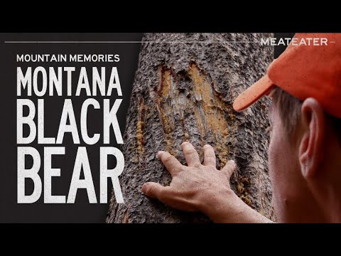 Mountain Memories: Montana Black Bear | S6E15 | MeatEater