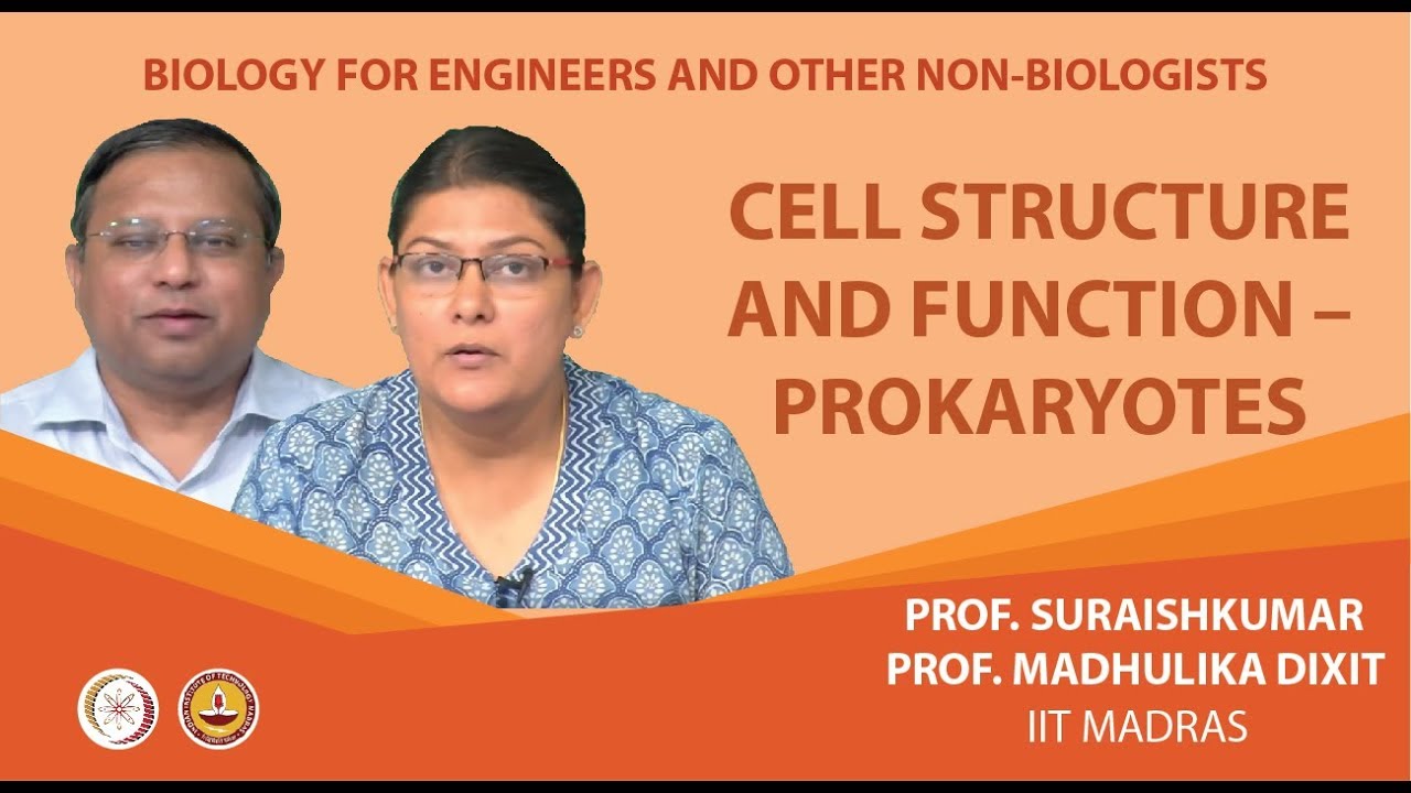 Cell structure and function - Prokaryotes