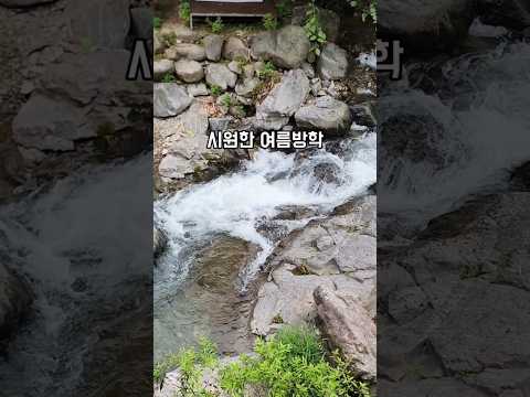 여름방학 마지막을 불태우기 아이랑갈만한곳 춘천여행 #아기 #방학중 #물놀이 #여름 #여름휴가