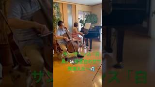 Download lagu サン・サーンス『白鳥』🦢チェロとアンサンブル✨✨✨ mp3 Download lagu サン・サーンス『白鳥』🦢チェロとアンサンブル✨✨✨ mp3