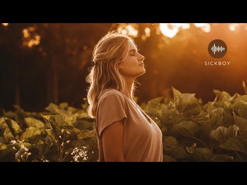 Adele - Set Fire In The Rain  x  Stadiumx - Where Are You Now (SickBoy - Summer Mix Mashup)