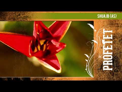 Profeti SHUAJB A.S