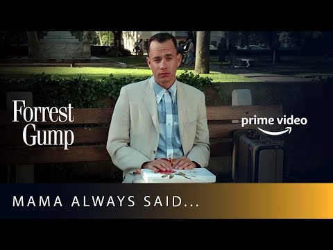 LIFE WAS LIKE A BOX OF CHOCOLATE 🍫 | Forrest Gump | Amazon Prime Video #shorts