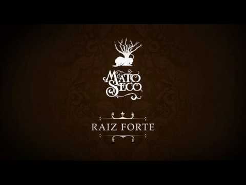 Raiz Forte video