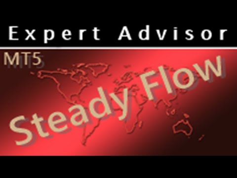 Video Steady Flow MT5