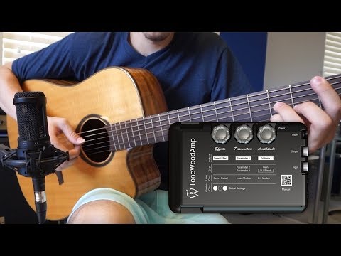 TONEWOOD AMP quick demo and review by Michael Hermes