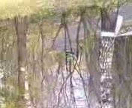 kjs rzeszow renault clio