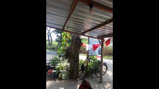 Download lagu 🎵Berdamai dengan apa yang terjadi .mangu dangdut (azizah) mp3