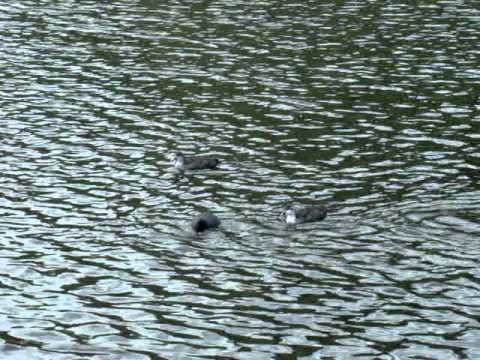 Daj mi zjeść, mamo - mówią mieszkańcy Paja